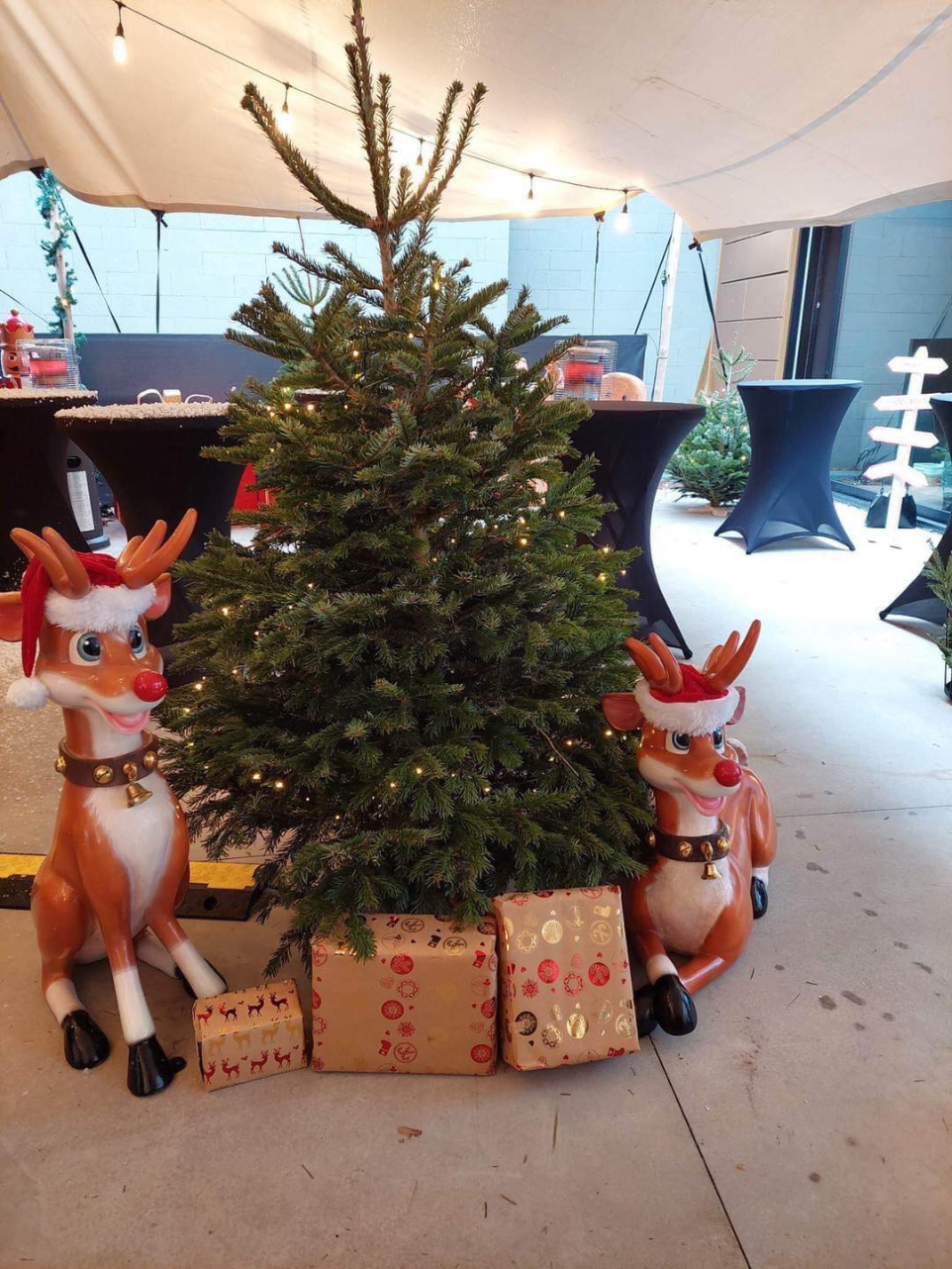 location décoration noel magasin 