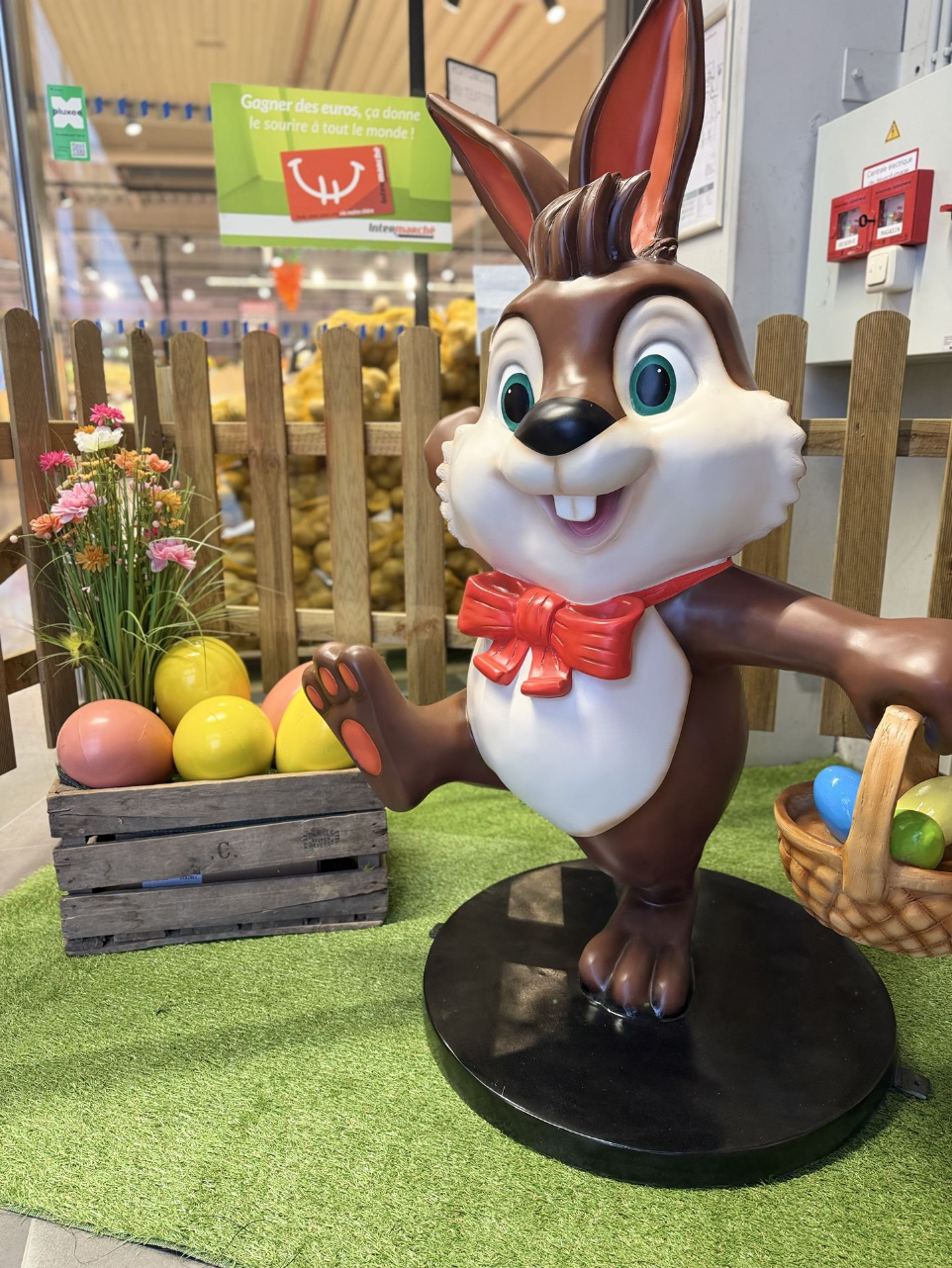 location decoration plaques Charleroi 