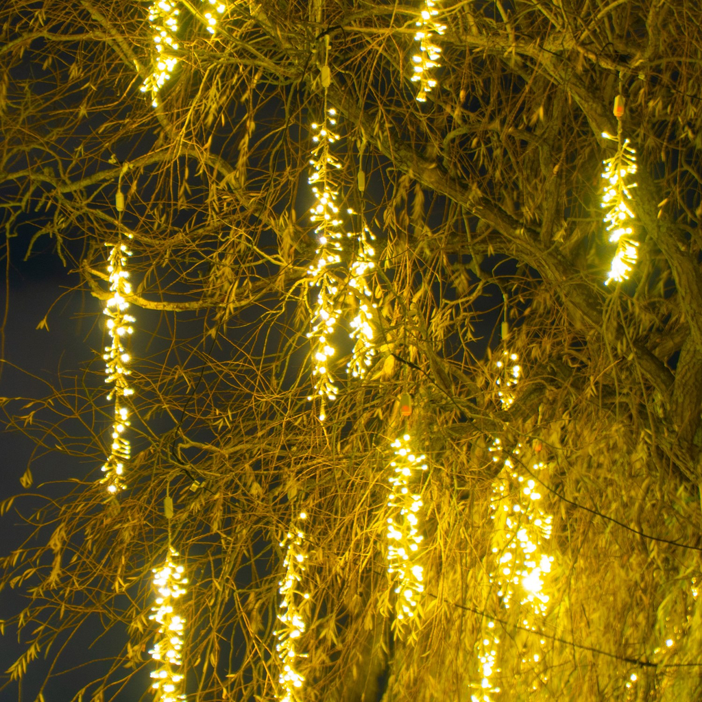 Flocklight - 1.2 m - 120 leds blanc chaud - fil transparent - 230V