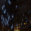 Flocklight - 1.2 m - 120 leds blanc Froid - fil transparent - 230V