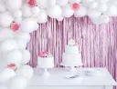 Party Curtain Backdrop - Rose  (VENTE)