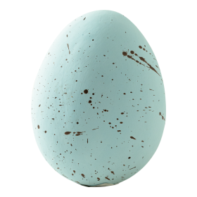 Oeuf de vanneau 20 cm Turquoise