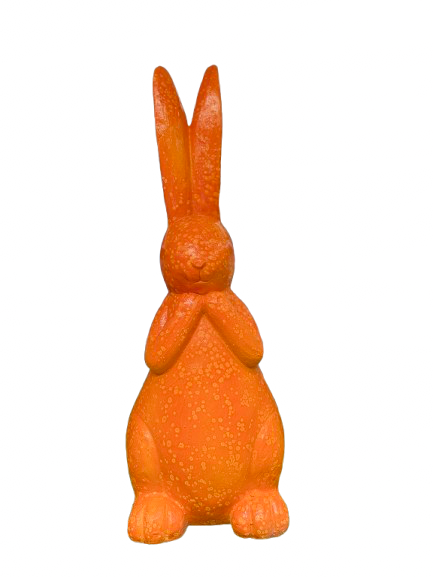 Lapin floquée Orange