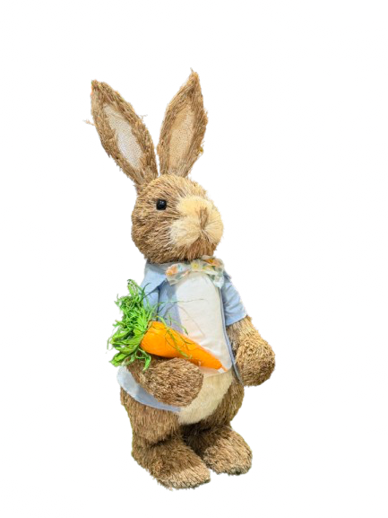 Lapin avec carottes