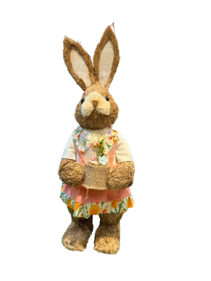 Lapine avec carottes