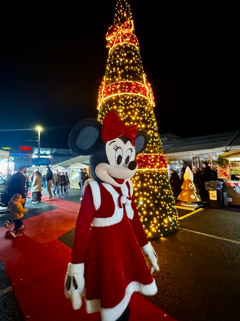 Préstation mascotte Minnie Noel