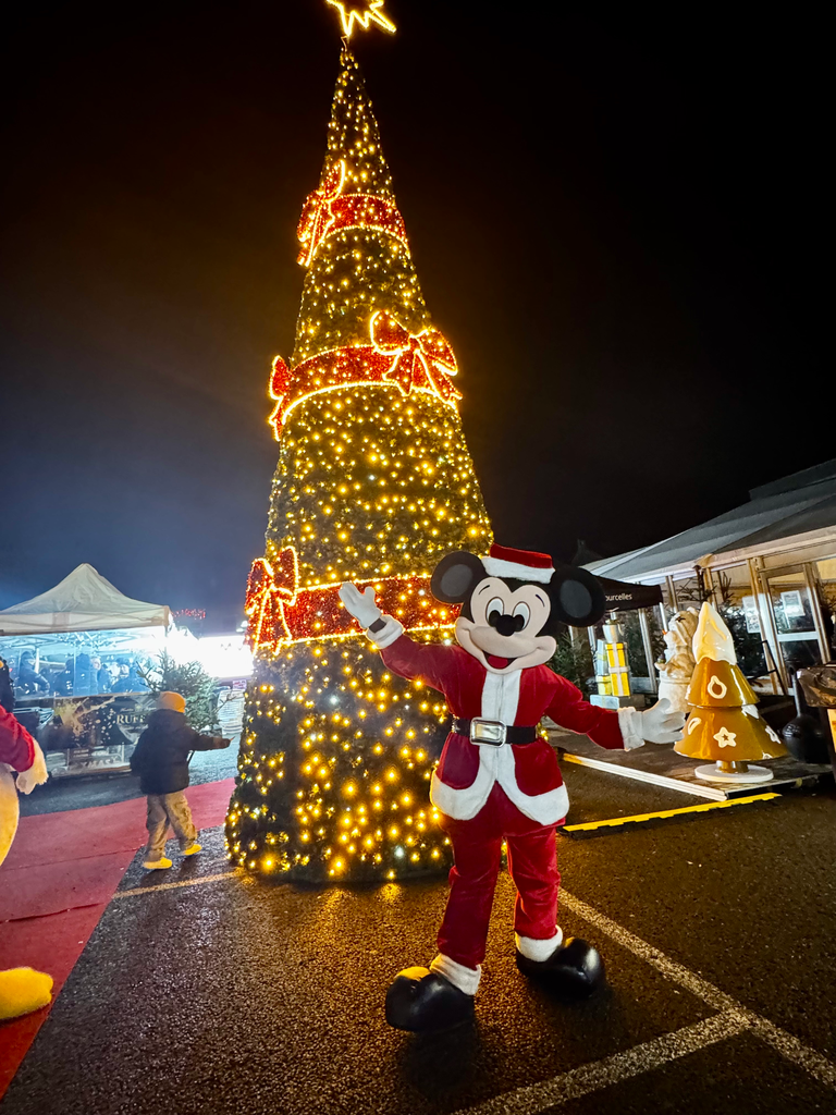 Préstation mascotte Mickey Noel
