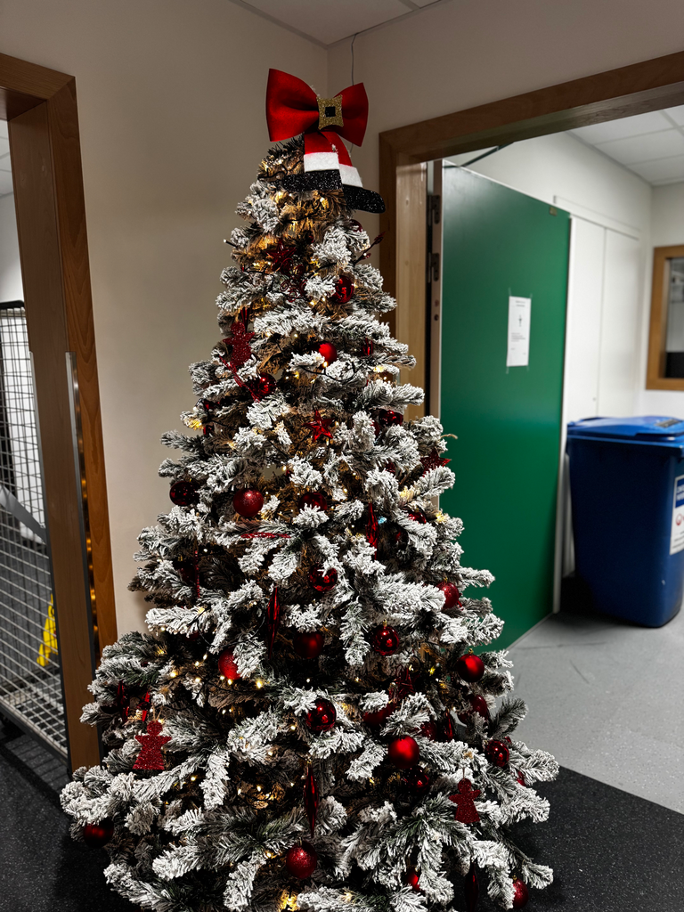 Sapin de noel décorer