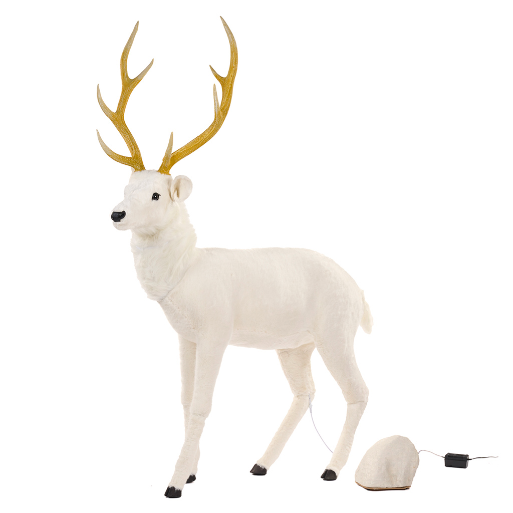 Cerf automate