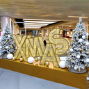 XMAS illuminé "Moa" - leds blanc chaud - 150 x 300 x 30 cm