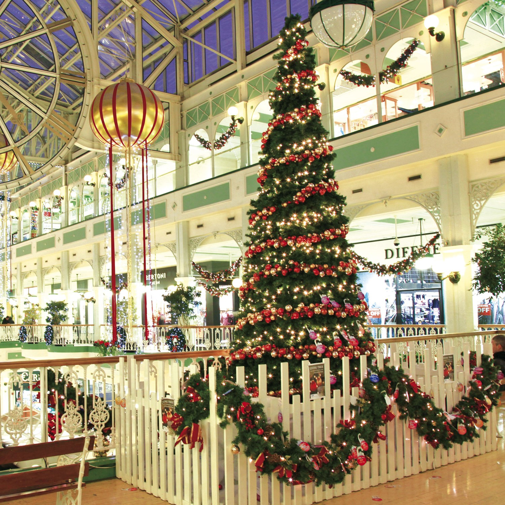 Sapin de Noël "Hampshire" - 4.2 m