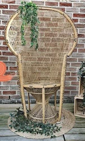 fauteuille  Emmanuelle