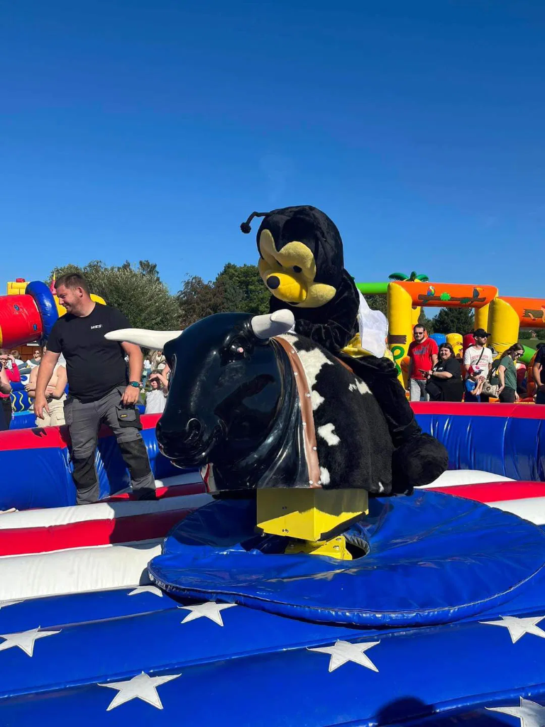 rodeo / taureau mécanique USA (4 heures)