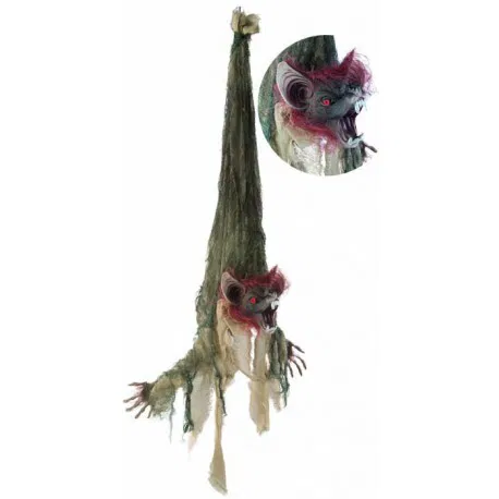 Chauve souris suspendue